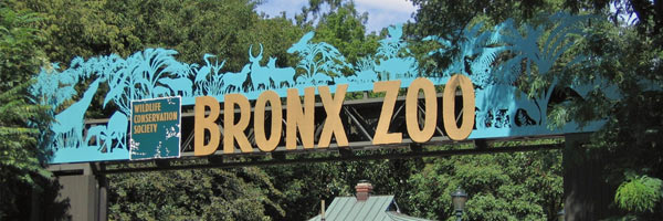 Бронкский зоопарк — Самые большие зоопарки мира