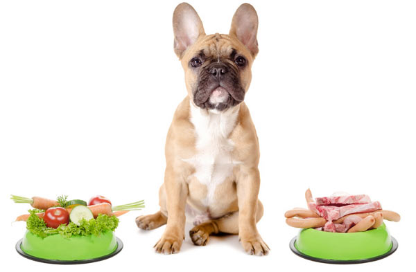 Полезные фрукты и овощи для собак