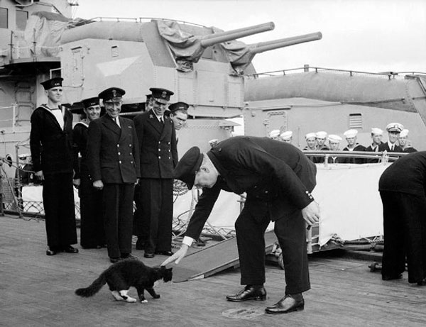 У маряков есть свои приметы: если кошка заходит на пришвартованное к пристани судно, но спустя время покидает его, значит, оно обречено на гибель