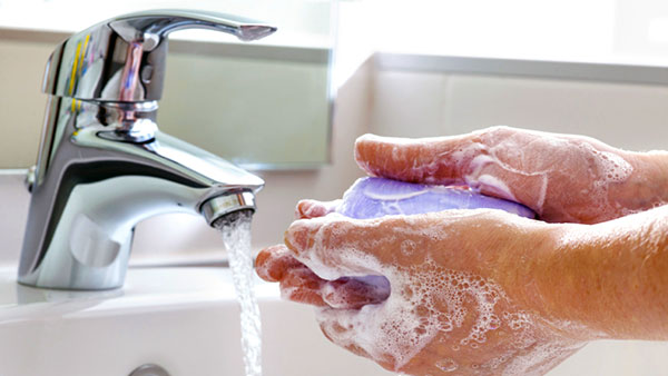 Заведите правило: погладили кошку – вымойте с мылом лицо и руки