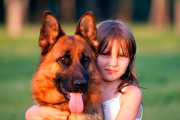 Породы Собак Для Детей Фото
