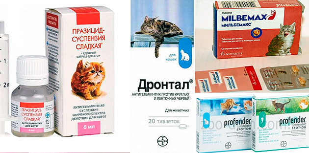 как сделать таблетки для глистогонки кошек лечение