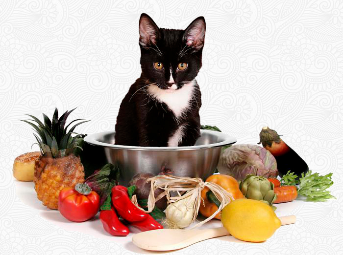 Если вы выбрали натуральную пищу для кормящей кошки, то там должны присутствовать все необходимые микроэлементы и витамины