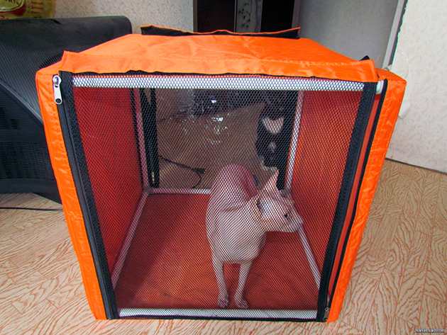 Выставочные палатки для кошек можно приобрести в зоомагазине, интернете или сделать на заказ