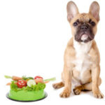 Полезные фрукты и овощи для собак
