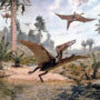 Птеродактиль (лат. Pterodactylus)