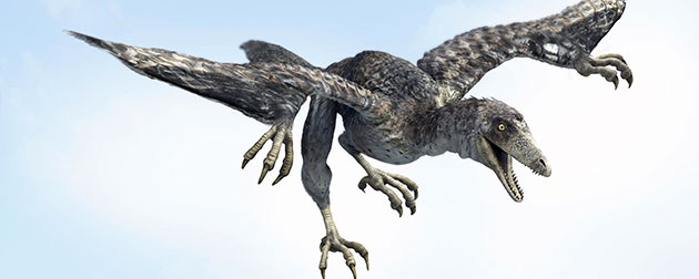 Археоптерикс (лат. Archaeopteryx)