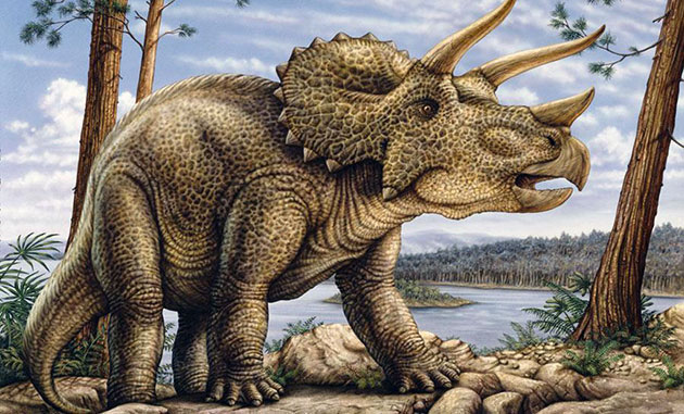 Трицератопс (лат. Triceratops)